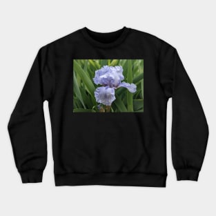 Fading Iris Crewneck Sweatshirt